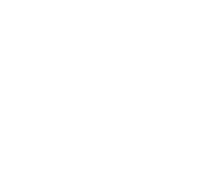 Alpha sport brand